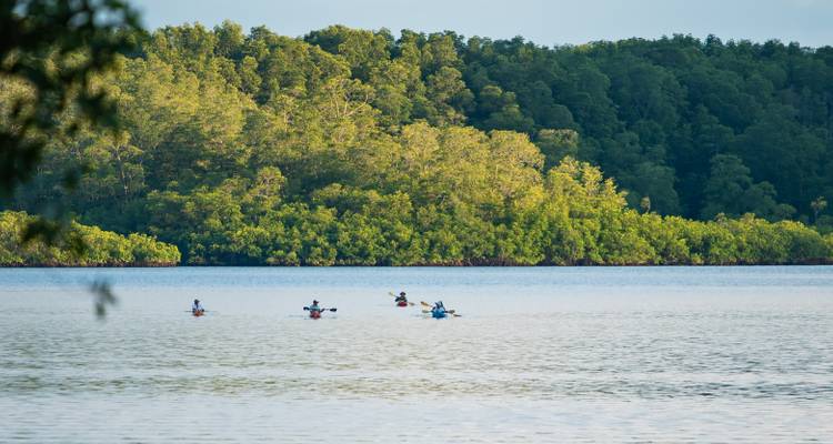 8-Day Lodge-to-Lodge Golfo Dulce Sea Kayaking Trip - Sea Kayaking Costa Rica 5