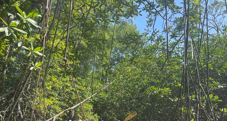 8-Day Lodge-to-Lodge Golfo Dulce Sea Kayaking Trip - Sea Kayaking Costa Rica 6