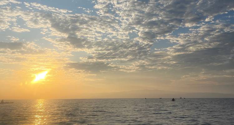 8-Day Lodge-to-Lodge Golfo Dulce Sea Kayaking Trip - Sea Kayaking Costa Rica 7