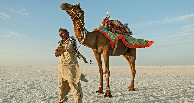 Bhuj y más allá: expedición al encantador Kutch - Agora Voyages OPC Pvt Ltd 3