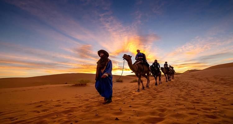 Camel caravan walking through desert at sunset.