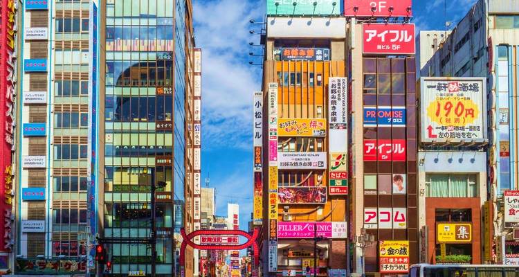 9-Day Japan Classic: Tokyo, Mt. Fuji, Kyoto - Intertrips 6