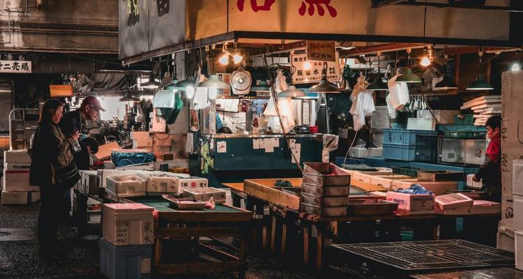 9-Day Japan Classic: Tokyo, Mt. Fuji, Kyoto - Intertrips 1