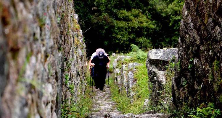 Recorrido Inca Jungle a Machupicchu Circuito de 4 días - MEGAEXPEDITIONS 6