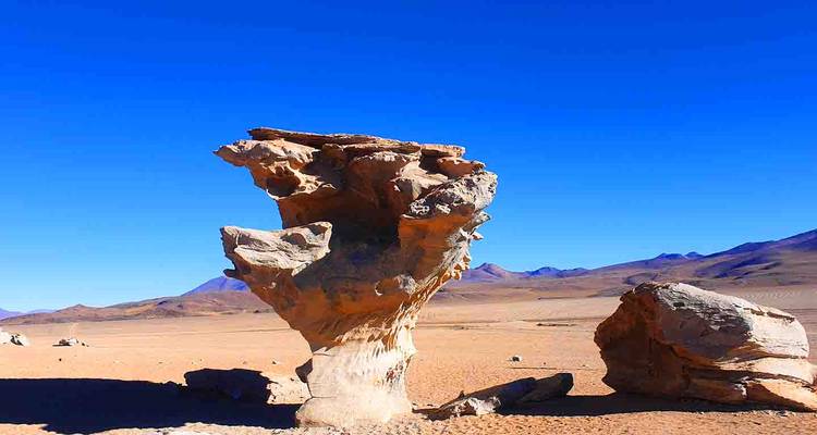 Circuito de 3 días al Salar de Uyuni y Parque Eduardo Avaroa - MEGAEXPEDITIONS 10