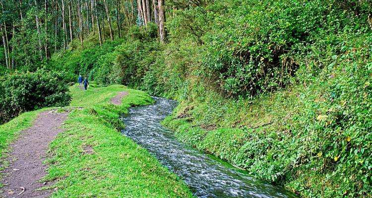 Groen landschap met een kleine beek en een pad langs het bos.