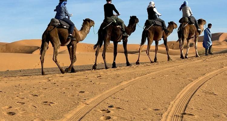 Turistas montando camellos por un camino de arena dejando marcas curvas de neumáticos en la duna