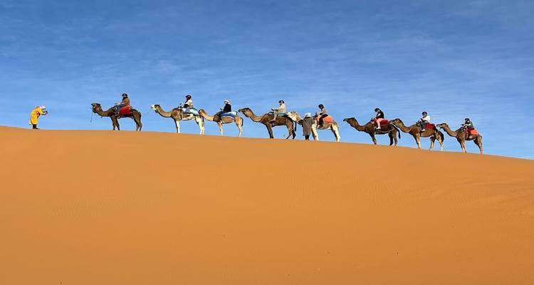 Toma minimalista de una caravana de camellos silueteada a lo largo de la cresta de una duna naranja muy alta