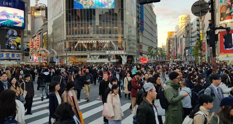 Japón Fácil y Gratis - Asia travel and Estate 3