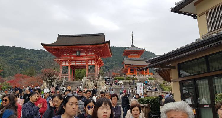 Japón Fácil y Gratis - Asia travel and Estate 8
