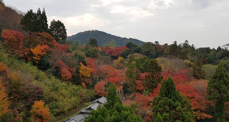 Japón Fácil y Gratis - Asia travel and Estate 10