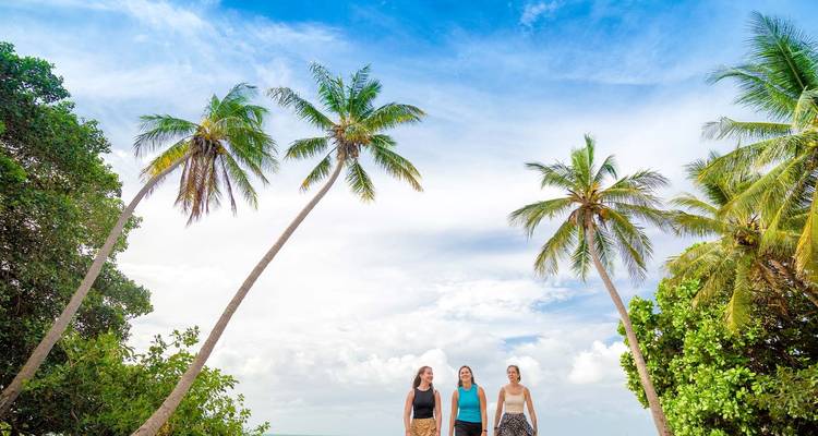 Three people walking on a beach with palm trees.