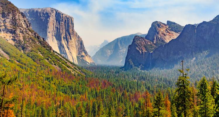Golden State Of Mind: El Norte de California por Diseño - Globus 1