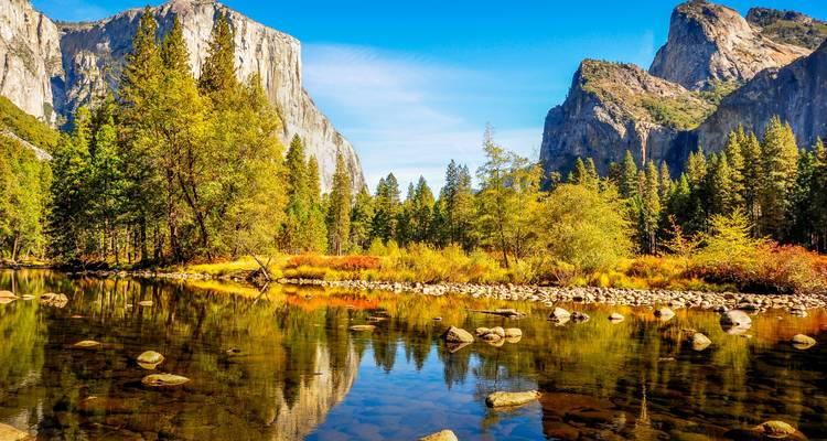 Golden State Of Mind: El Norte de California por Diseño - Globus 3