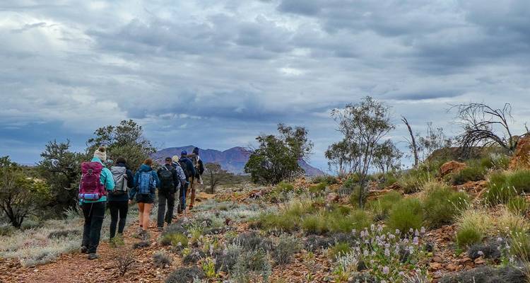 Recorre el sendero del Larapinta - Intrepid Travel 5