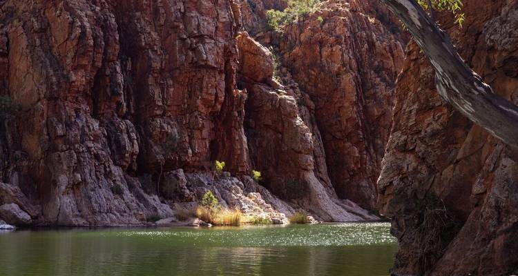 Recorre el sendero del Larapinta - Intrepid Travel 8