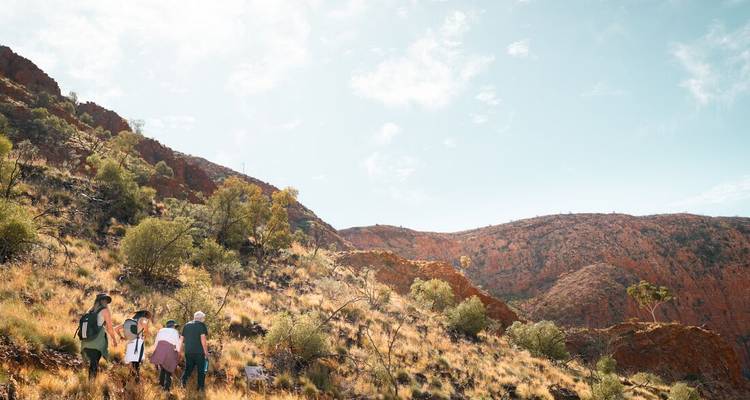 Recorre el sendero del Larapinta - Intrepid Travel 9
