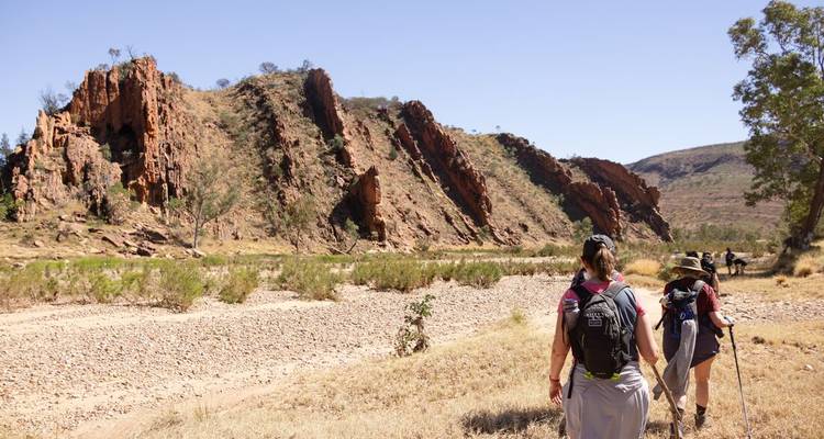 Recorre el sendero del Larapinta - Intrepid Travel 10