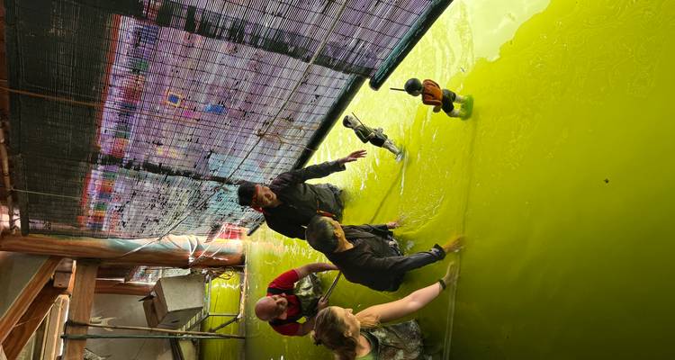 Groupe de personnes manipulant des marionnettes aquatiques dans un bassin vert.