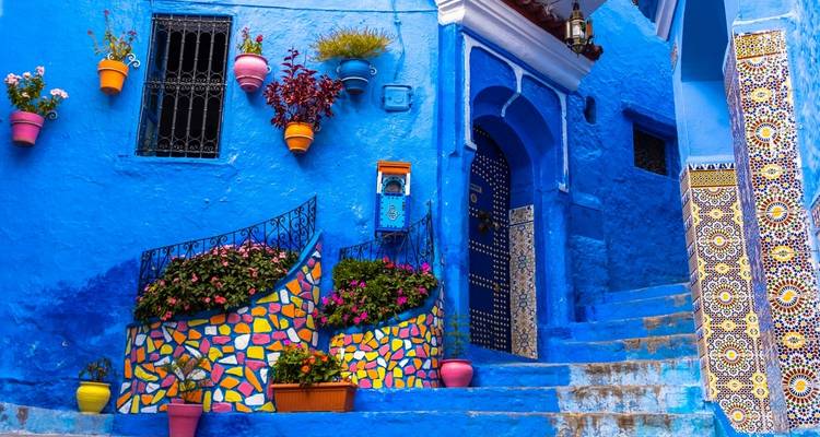 Vibrant blue street with colorful flower pots and tiles.