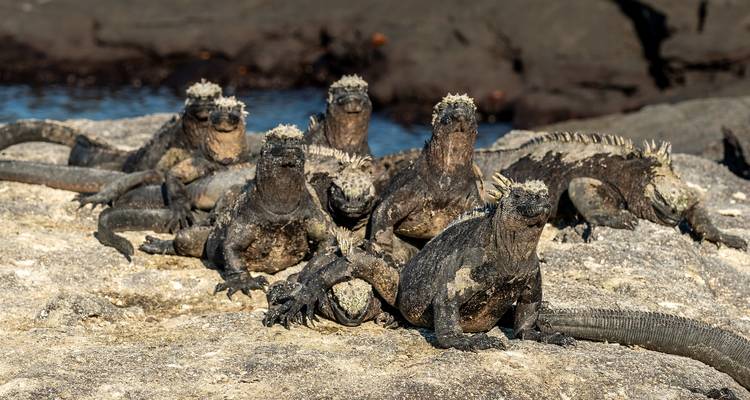 Galapagos Relax 8 Days Tour - GUIDEcuador Travel 2