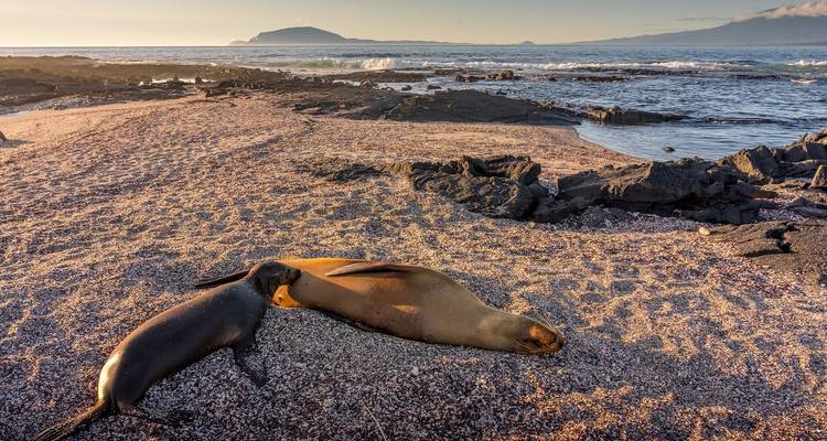 Galapagos Relax 8 Days Tour - GUIDEcuador Travel 4