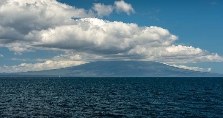 Galapagos Relax 8 Days Tour - GUIDEcuador Travel 7