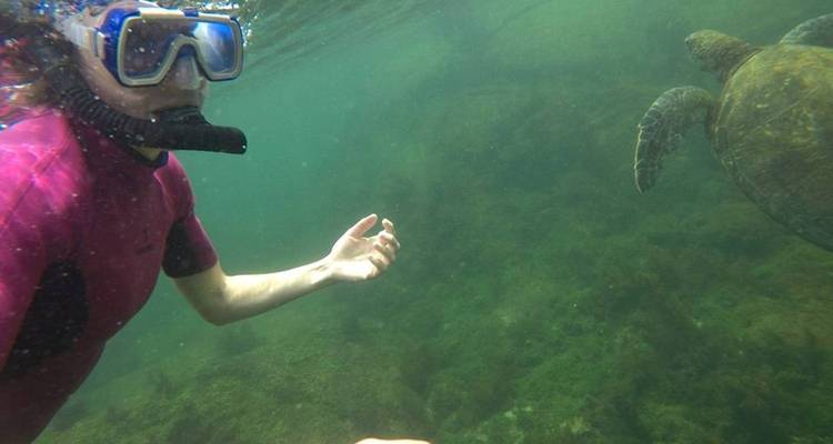 Galapagos Relax 8 Days Tour - GUIDEcuador Travel 10