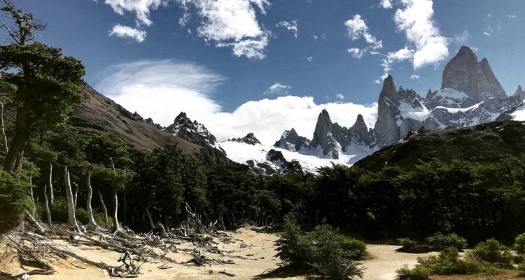 Paysage de montagne avec neige et pics rocheux, entouré de forêts.