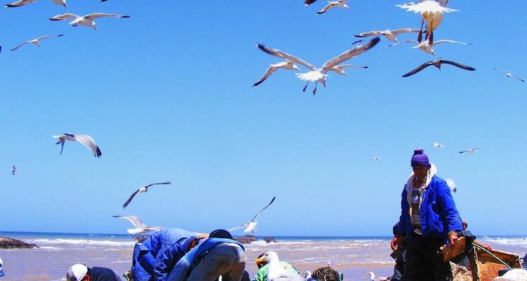 11 Days Adventurous Must-Do Morocco Cultural Tour from Casablanca - Morocco Social Impact Travels 10