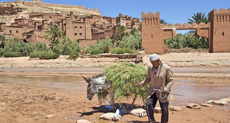11-Day Off the Beaten Path and Erg Chigaga Desert Cultural Tour from Marrakech - Morocco Social Impact Travels 3