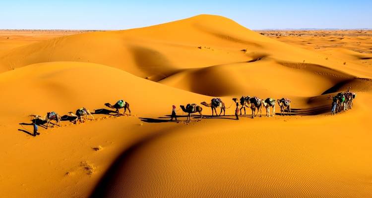 11-Day Off the Beaten Path and Erg Chigaga Desert Cultural Tour from Marrakech - Morocco Social Impact Travels 10