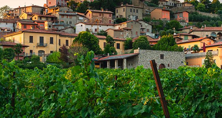 Vistas of Italy and Switzerland - Back-Roads Touring 2