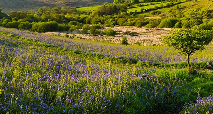 Les coins de la Cornouaille - Blue-Roads Touring 3