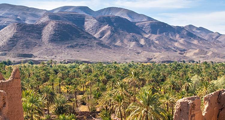 Le Maroc majestueux - Blue-Roads Touring 3
