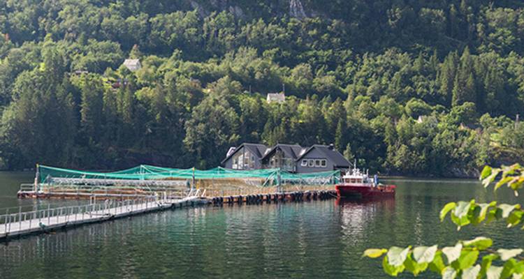 Norvège : Fjords et glaciers - Blue-Roads Touring 6