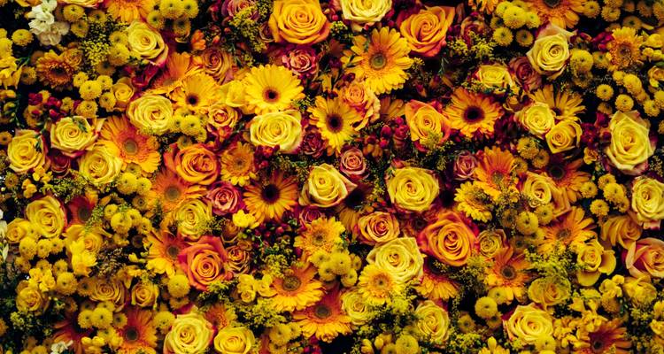 Chelsea Flower Show (Este) 2026 - Blue-Roads Touring 9