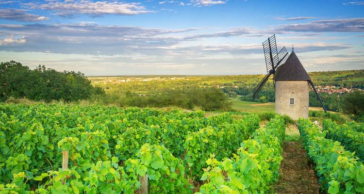 De Paris à Nice par les vignobles et les montagnes - Blue-Roads Touring 2