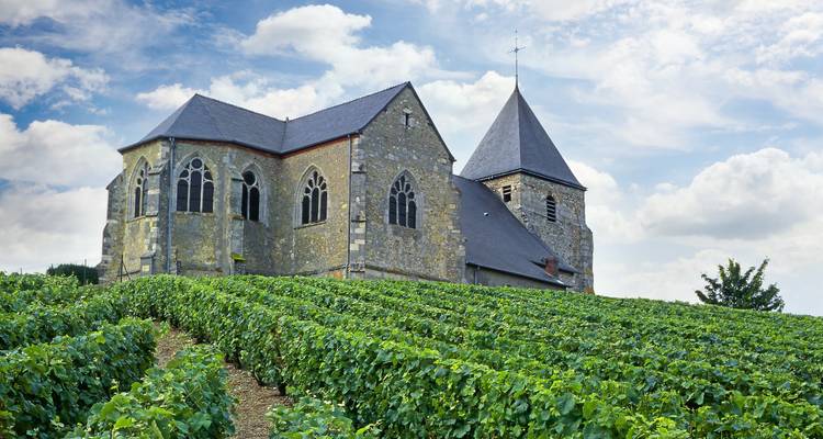 Gran circuito de la burbuja: De Champaña a Borgoña - One Life Journeys 4