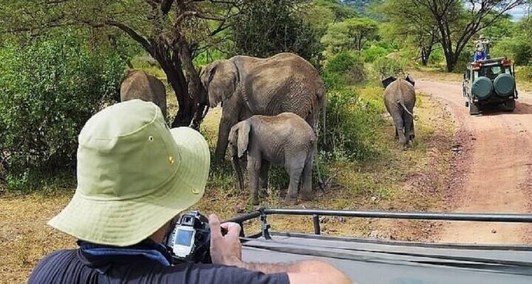 Toeristen in een safariwagen met olifanten die in de buurt lopen.