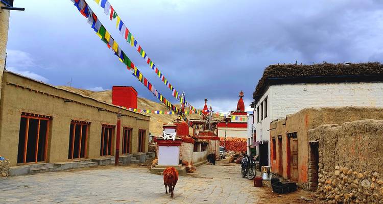 Upper Mustang Motor Bike - Trek Mania Nepal  8