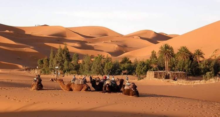Excursión de lujo al desierto de Marrakech a Fez 3 días - Morhara Morocco Tours 2