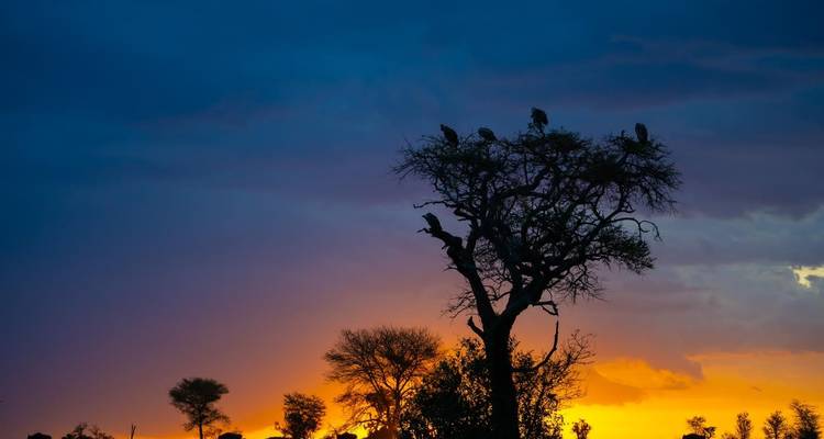 Amazing offer for the budgeted -Safari-6 days Tarangire, Serengeti and Ngorongoro - Eatl Tour and Safari Group  2