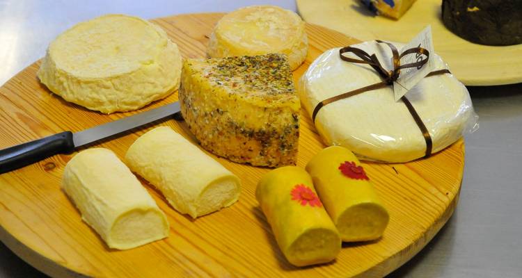 From Motor Valley to Piedmont: A Journey through Italian Excellences - One Life Journeys 7