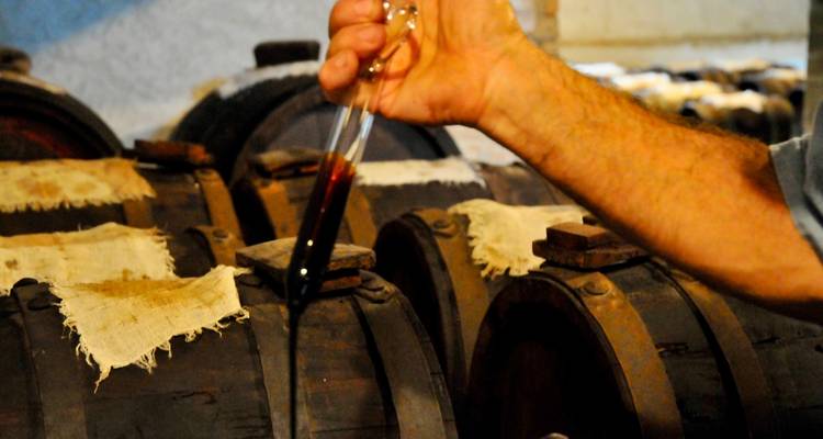 From Motor Valley to Piedmont: A Journey through Italian Excellences - One Life Journeys 4
