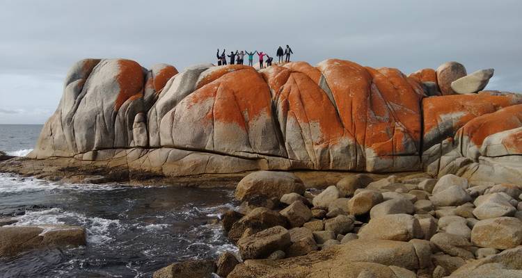Ultimate Tasmania - Circuit confort de 10 jours en Tasmanie - Under Down Under Tours 7