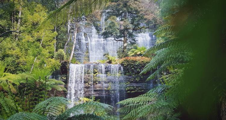 Forêt tropicale luxuriante avec une cascade tranquille.