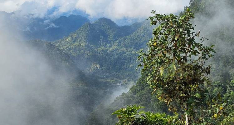 Ecuador: Tesoros del Norte de los Andes - Galapagos My World 4