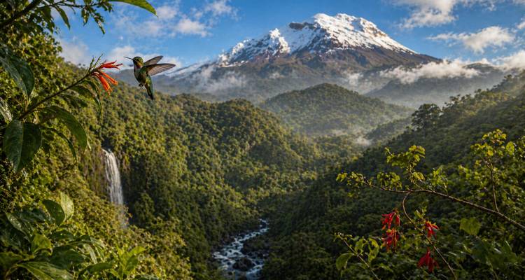 Volcán andino cubierto de nieve que se alza sobre un exuberante bosque nublado con cascada y colibrí en primer plano