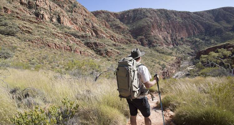 Caminata guiada de 5 días por el sendero Larapinta desde Alice Springs - Autopia Tours 3